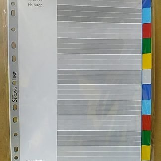Bantex 6022 分類紙12格