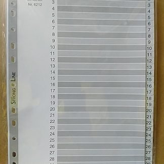 Bantex 6212 分類紙 1-31