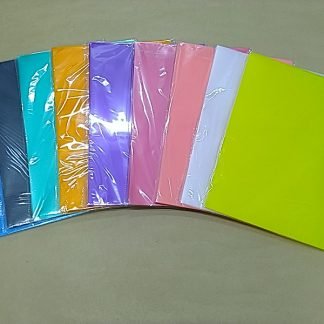 E310 文件套 A4 - 橙 (12's)